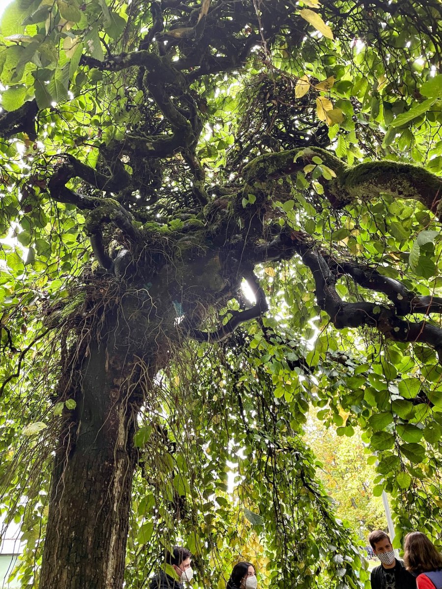 POTD January - 1_a.jpeg