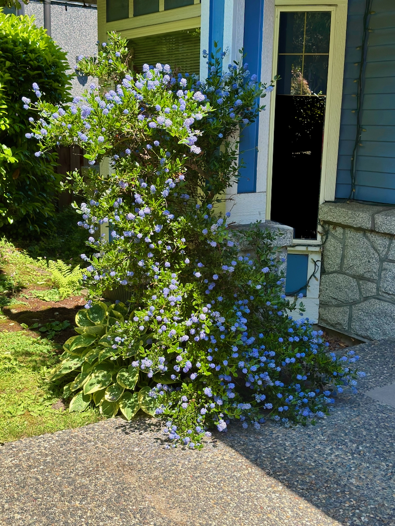 Potd June_a.jpeg