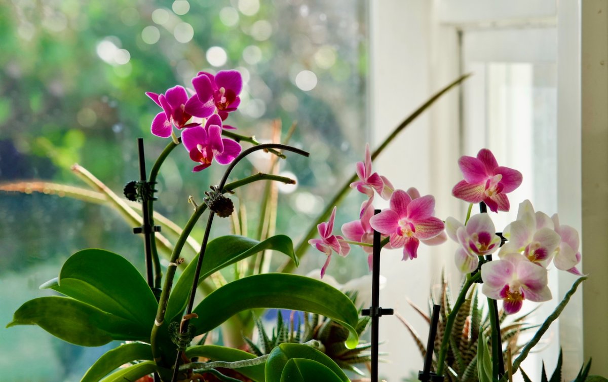 POTD March - 1_a.jpeg