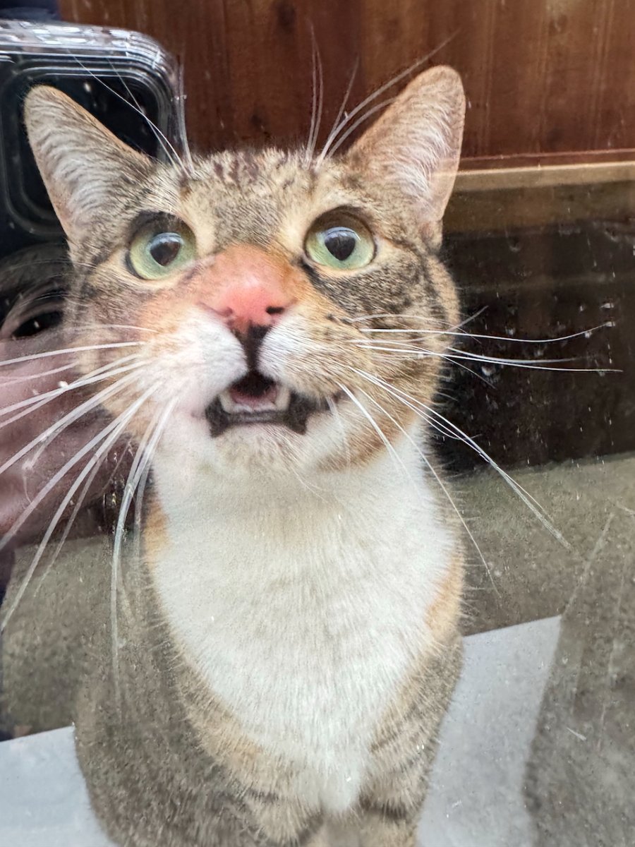 POTD March - 1_a.jpeg