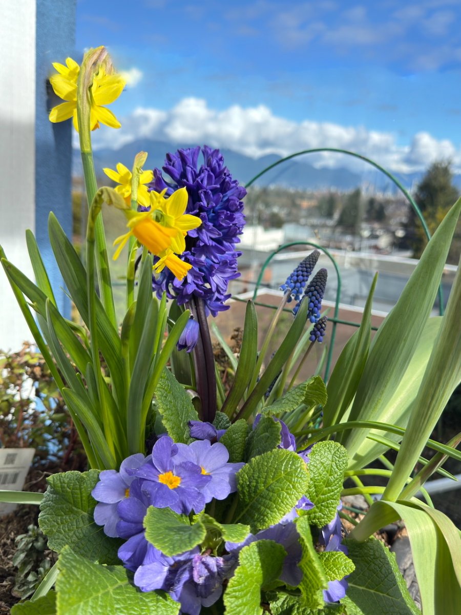 POTD March - 1_a.jpeg