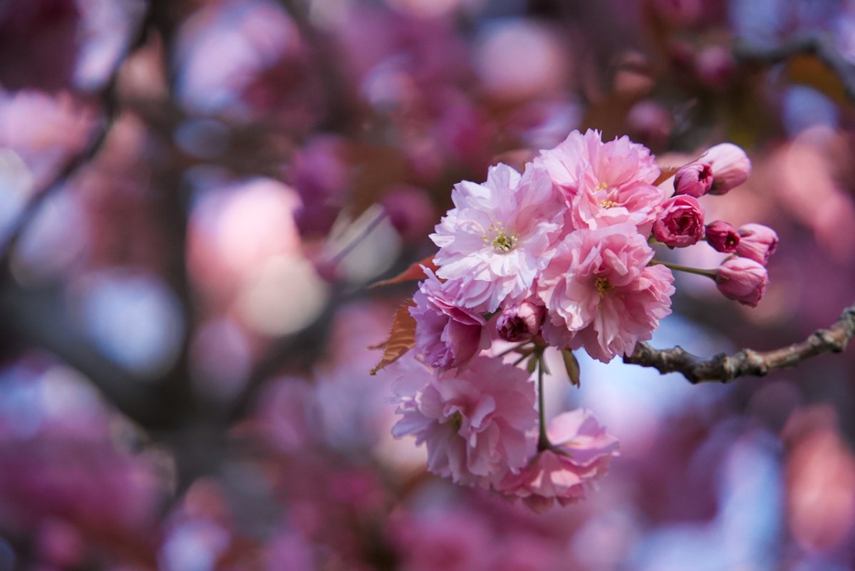 POTD March - 1_a.jpeg