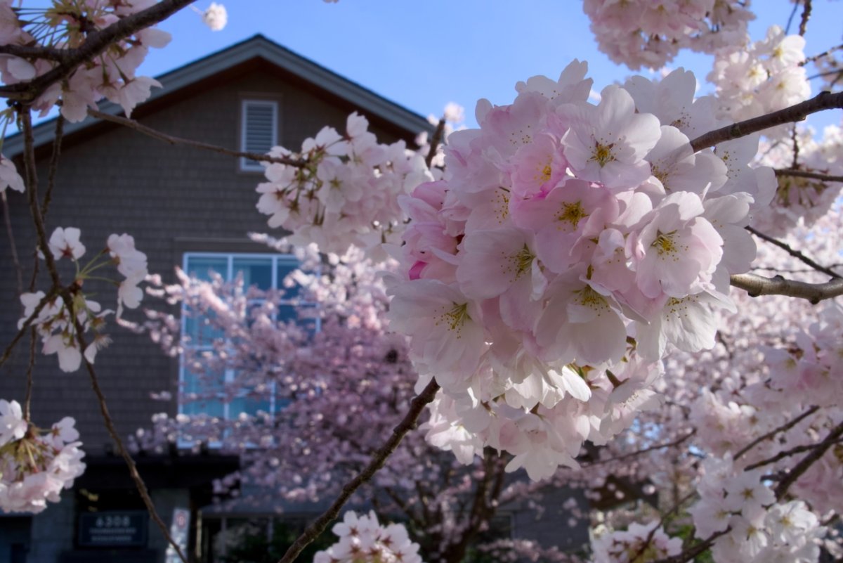 POTD March - 1_a.jpeg