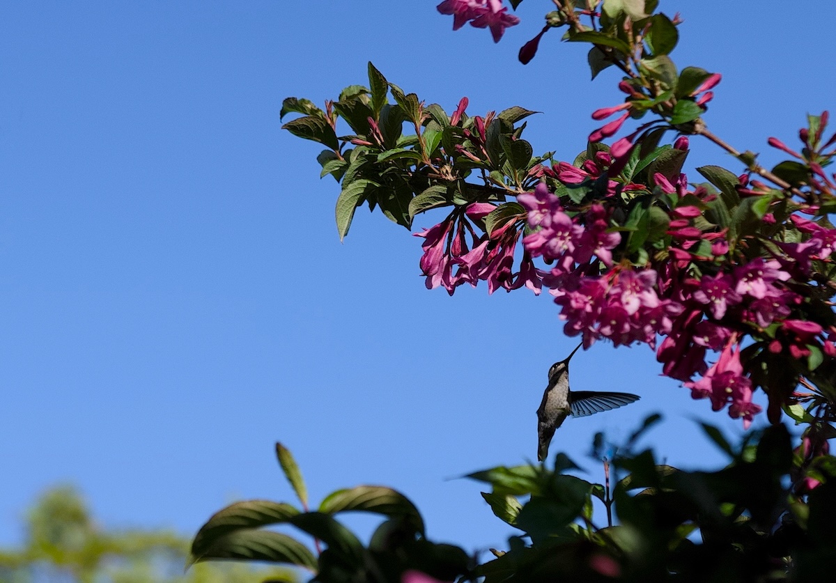 POTD May - 1 (1)_a.jpeg