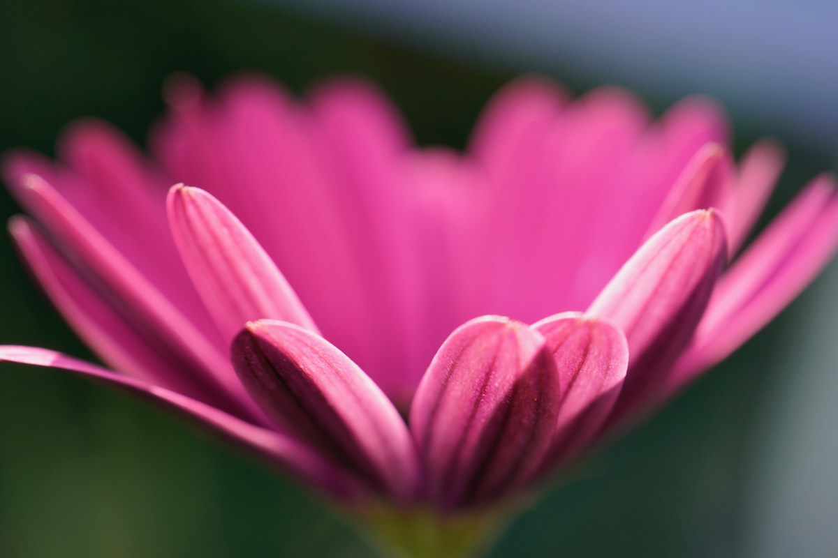 POTD May - 1_a 2.jpeg