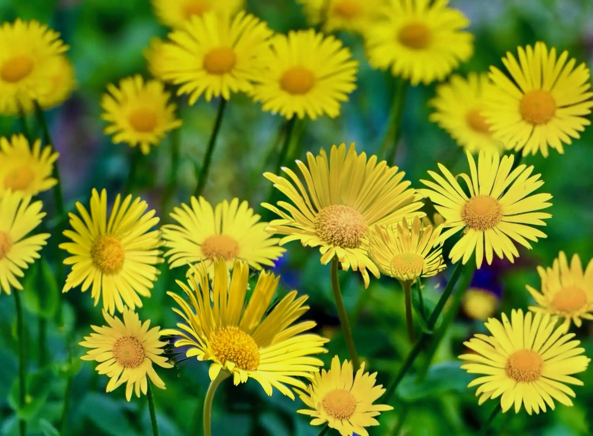 POTD May - 1_a 2.jpeg