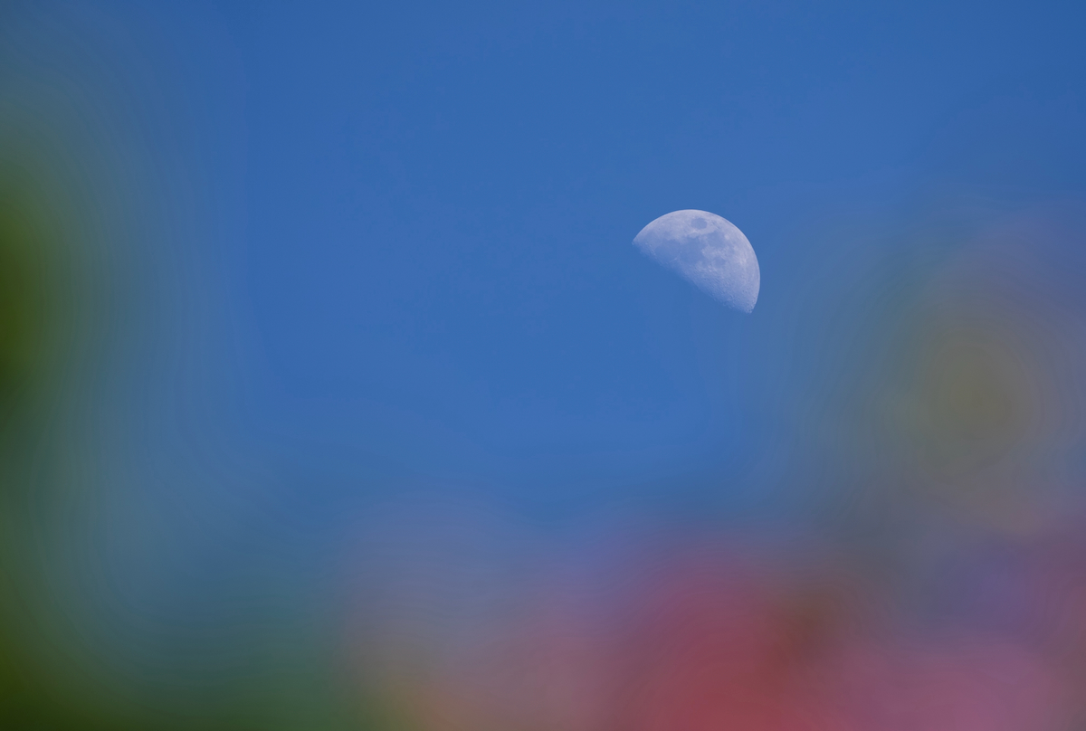 POTD May - 1_a 3.jpeg