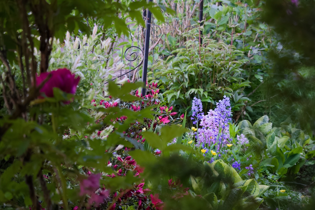 POTD May - 1_a 5.jpeg