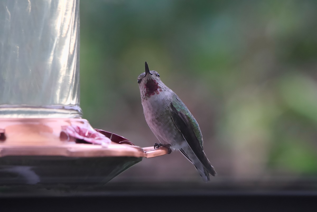 POTD November - 1 (1)_a.jpeg