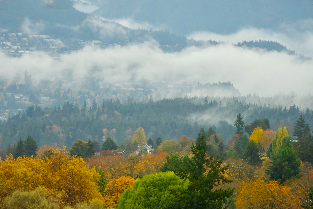 POTD November - 1_a 2.jpeg