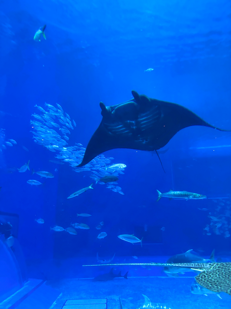 POTD November - 1_a 2.jpeg