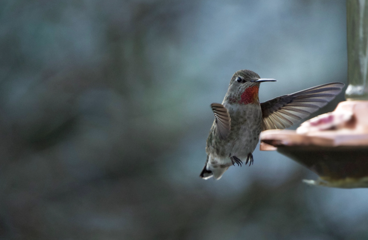 POTD November - 1_a 2.jpeg