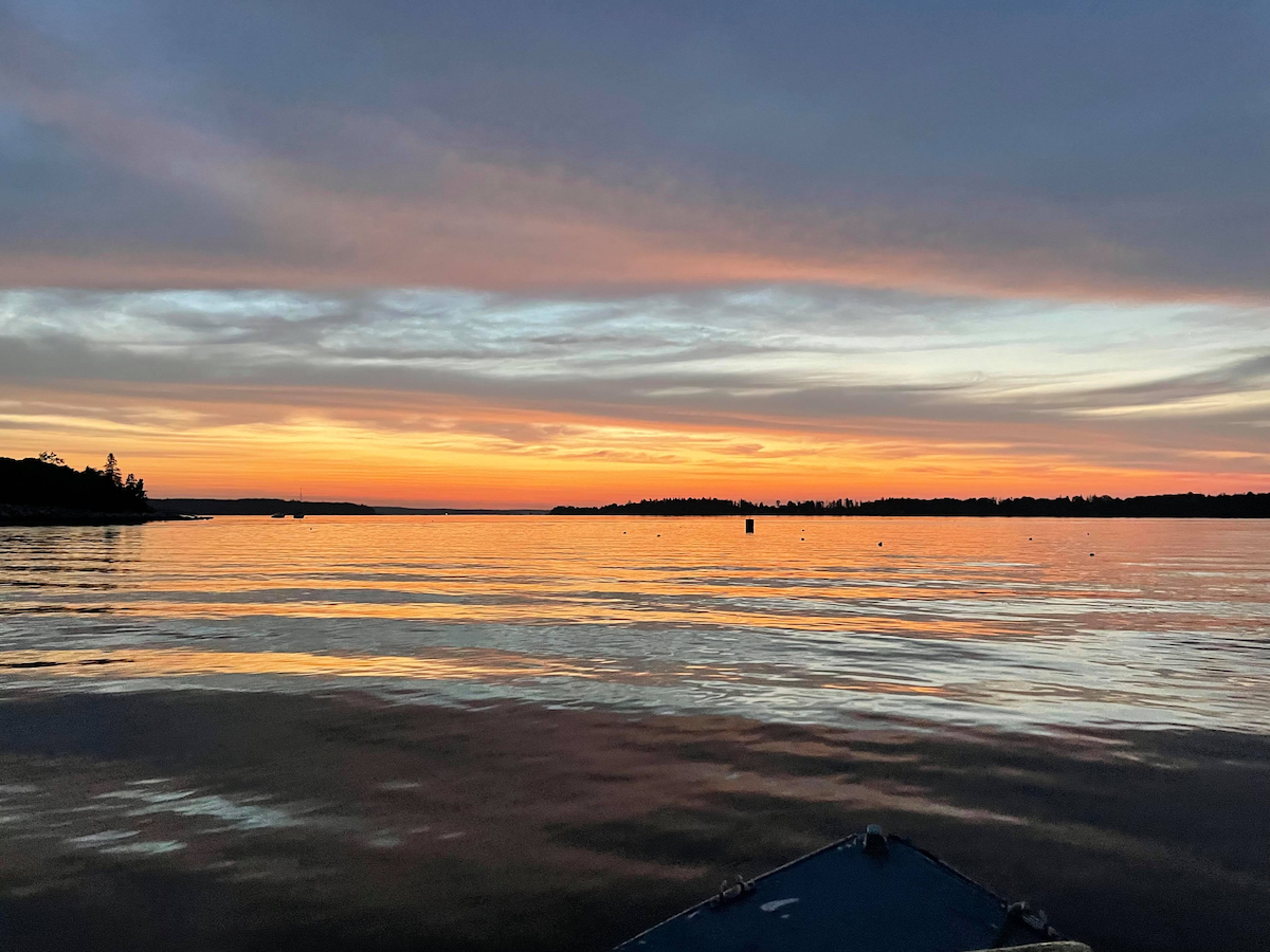 POTD November - 1_a 2.jpeg