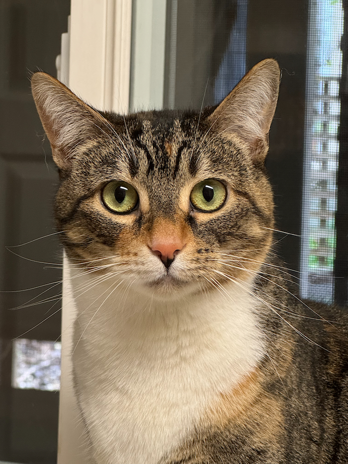 POTD November - 1_a 2.jpeg