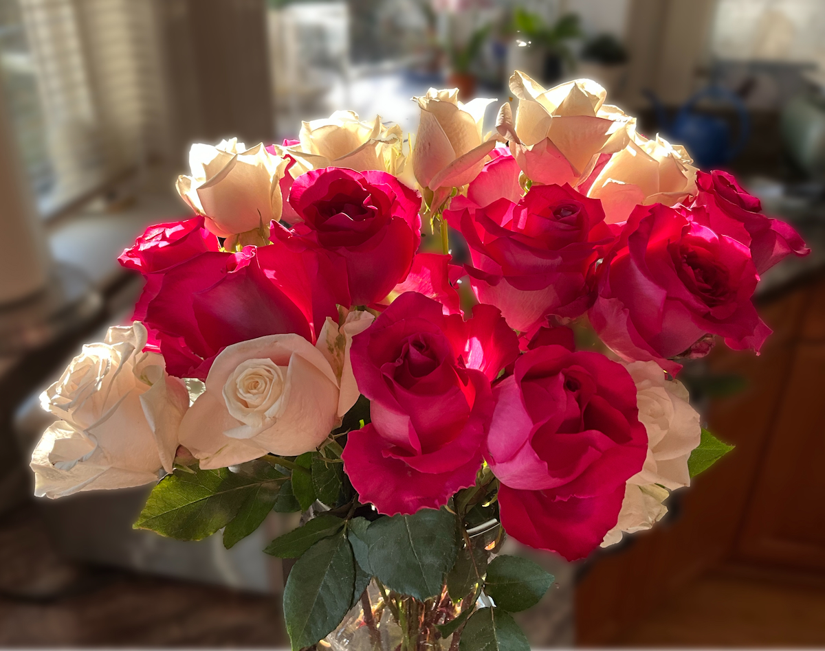 POTD November - 1_a 3.jpeg