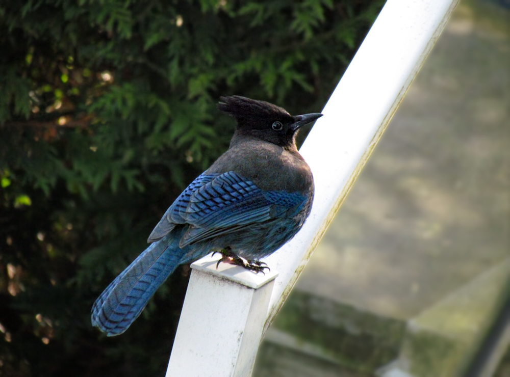 POTD November - 1_a 3.jpeg