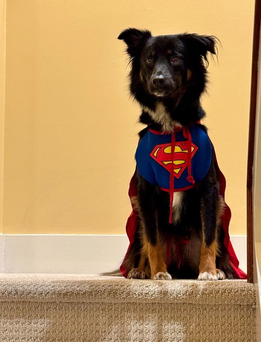 POTD November - 1_a.jpeg