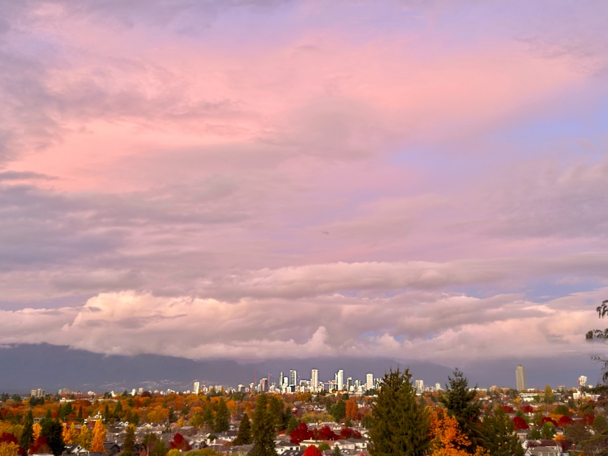 POTD November - 1_a.jpeg