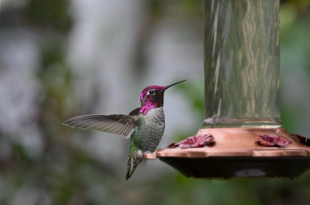 POTD November - 1_a.jpeg