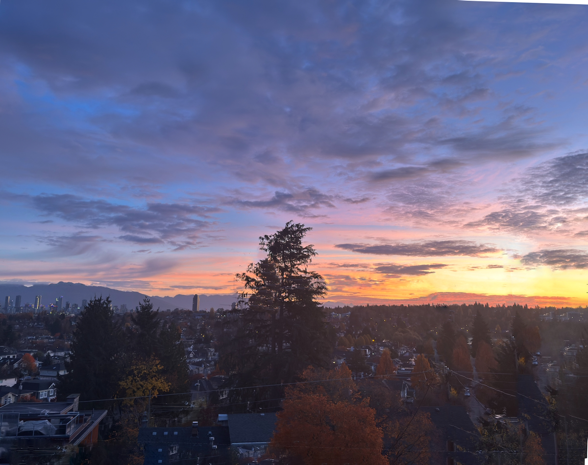 POTD November - 1_a.jpeg