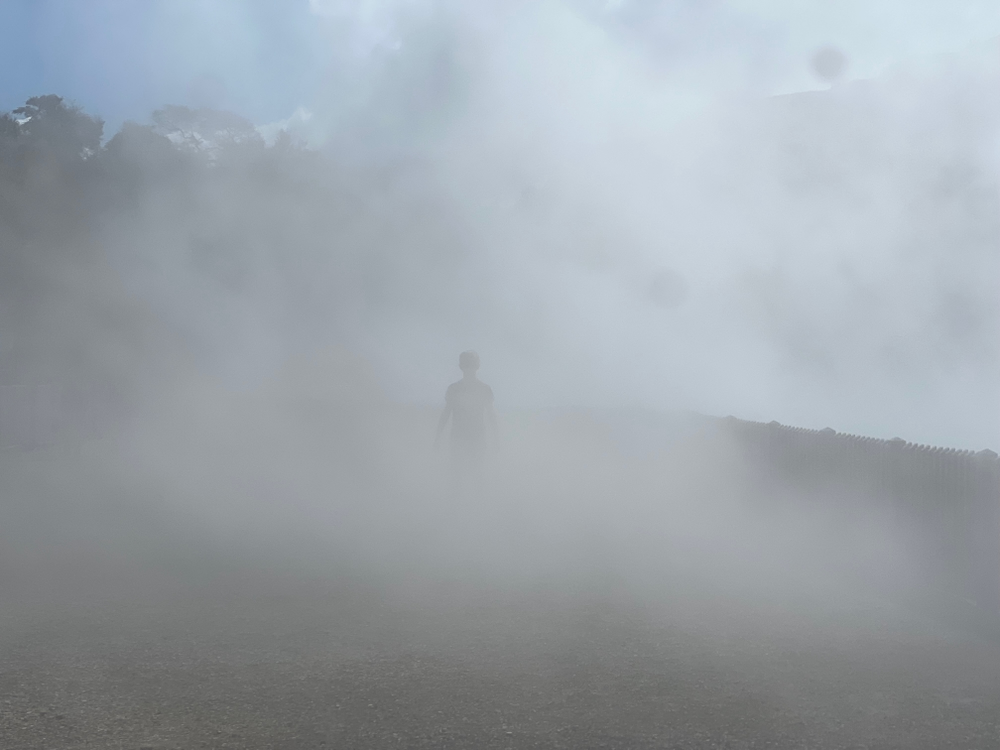 POTD November - a.jpeg