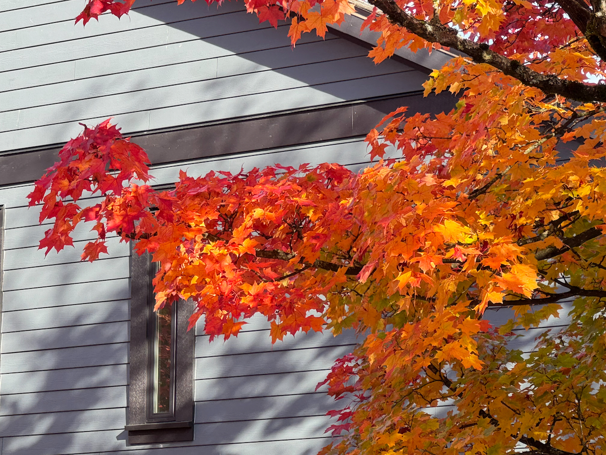 POTD October - 1 (2)_a.jpeg