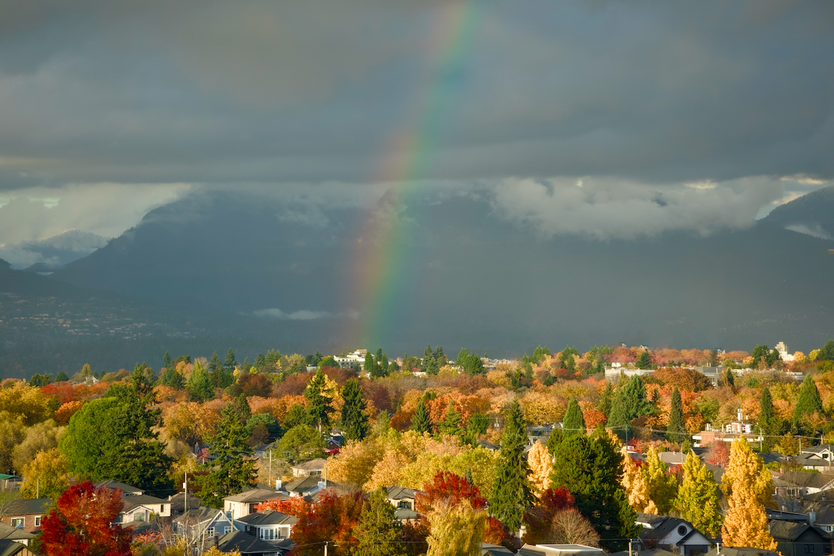 POTD October - 1_a 2.jpeg