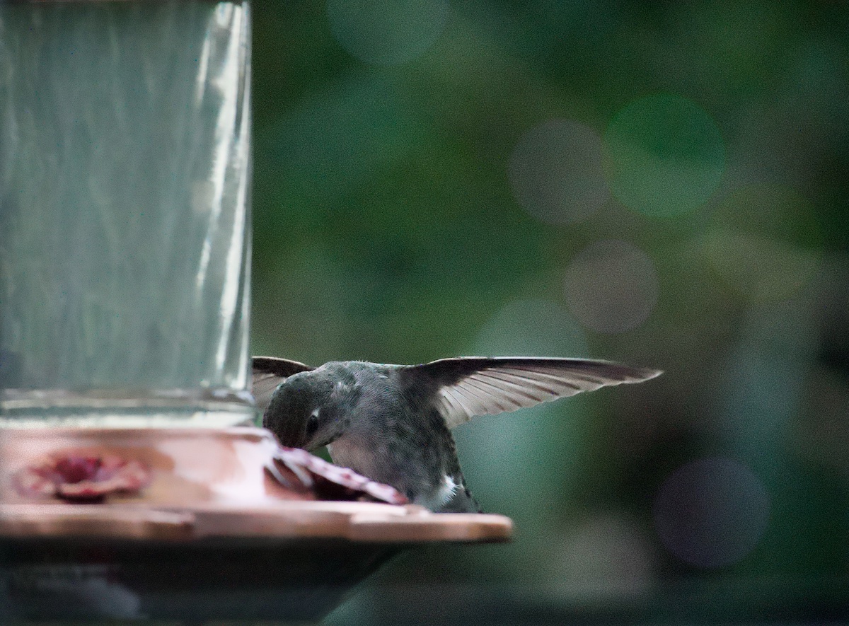 POTD October - 1_a 3.jpeg