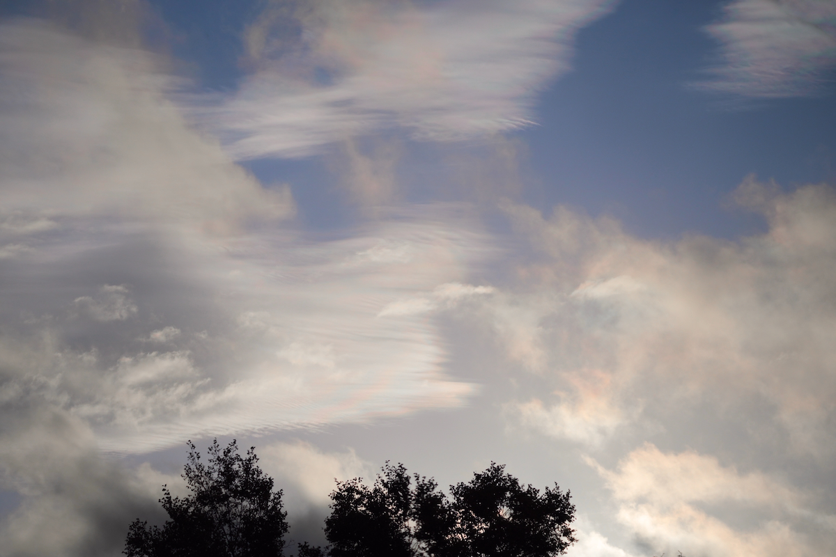 POTD October - 1_a.jpeg