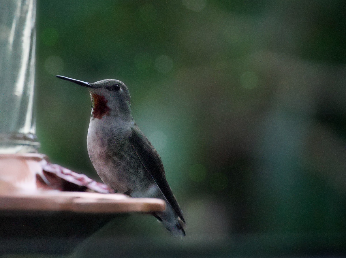 POTD October - 2_a 2.jpeg