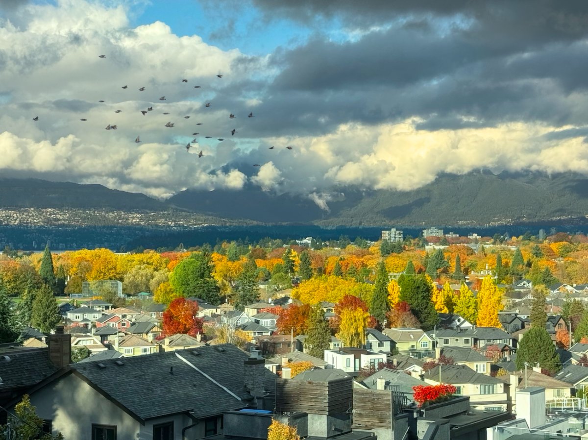 POTD October -a.jpeg