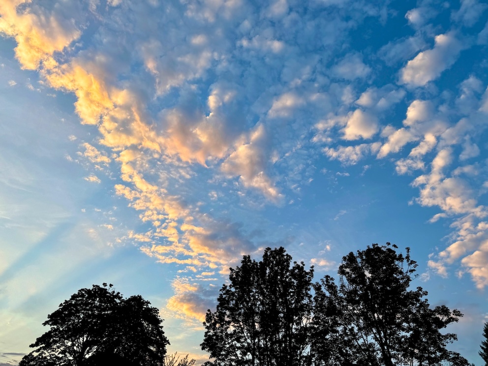 POTD September - 1_a.jpeg