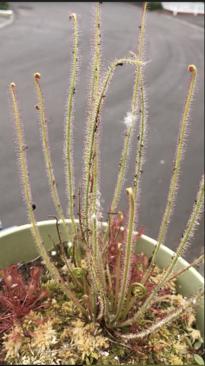 Screenshot 2025-11-07 at 6.54.13 AM.jpg