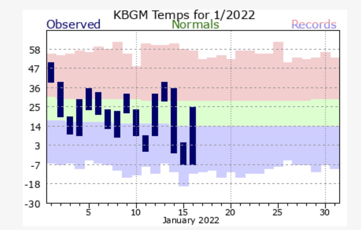 temps rollercoaster jan 2022.jpg