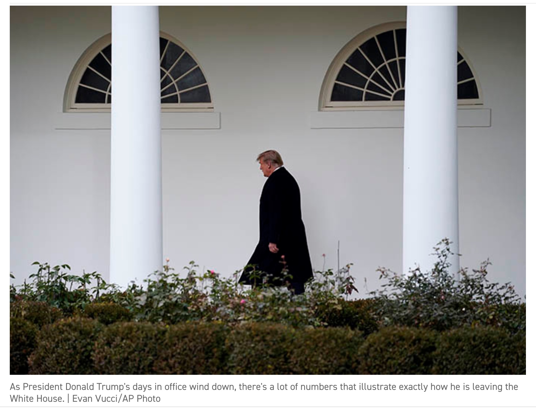 Trump photo Evan Vucci  AP Press.jpg