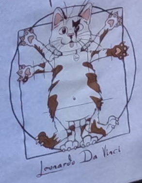 Virtruvian Cat.jpeg