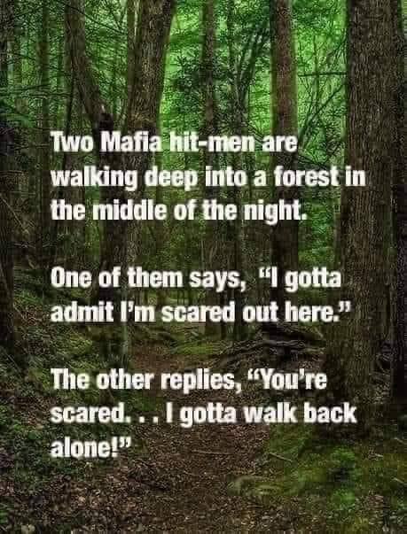 Walk_in_the_Woods.jpg