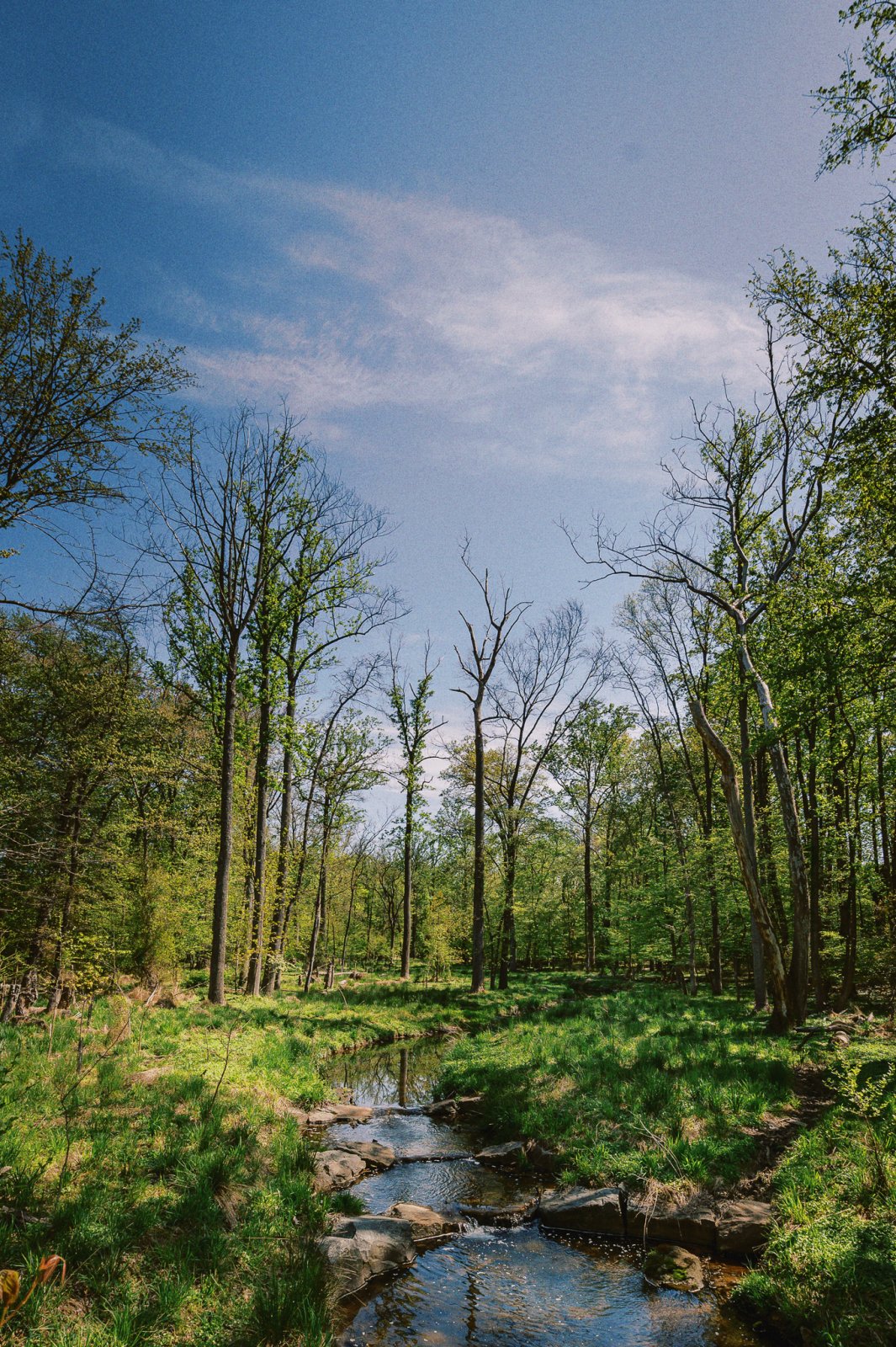 Web_April_29_2022_large.jpg
