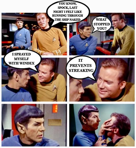 Windex.jpg