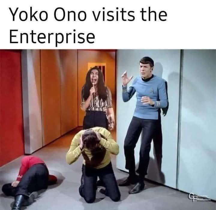 yoko.jpg